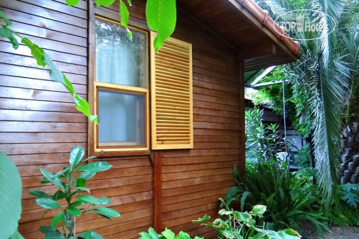 Hotelier's photos Dostlar Pension