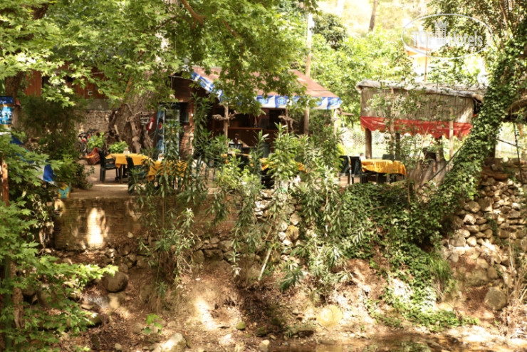 New photos from tourists Yoruk Park Pension