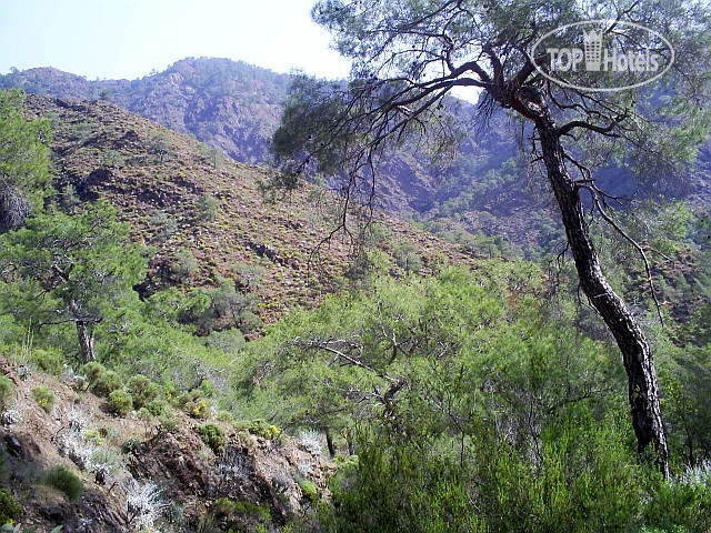 New photos from tourists Chimera Yanartas Pansiyon