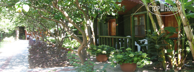 New photos from tourists Rose Bungalov