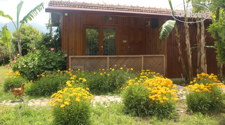 Hotelier's photos Rose Bungalov