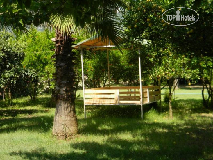 New photos from tourists Armina Hotel