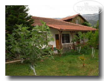 Hotelier's photos Kiyi Pansiyon