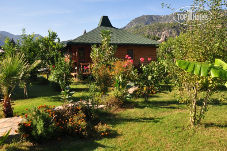 Hotelier's photos Cirali Almira Bungalow