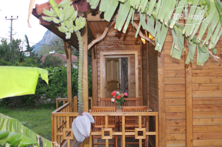 New photos from tourists Melisa Hotel
