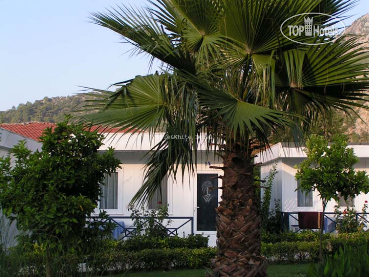 Hotelier's photos Blue & White Hotel
