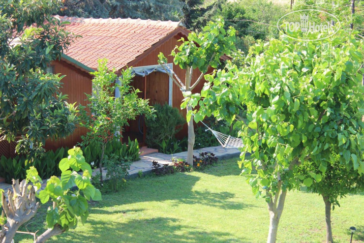 Hotel photo Ali Baba Pension 