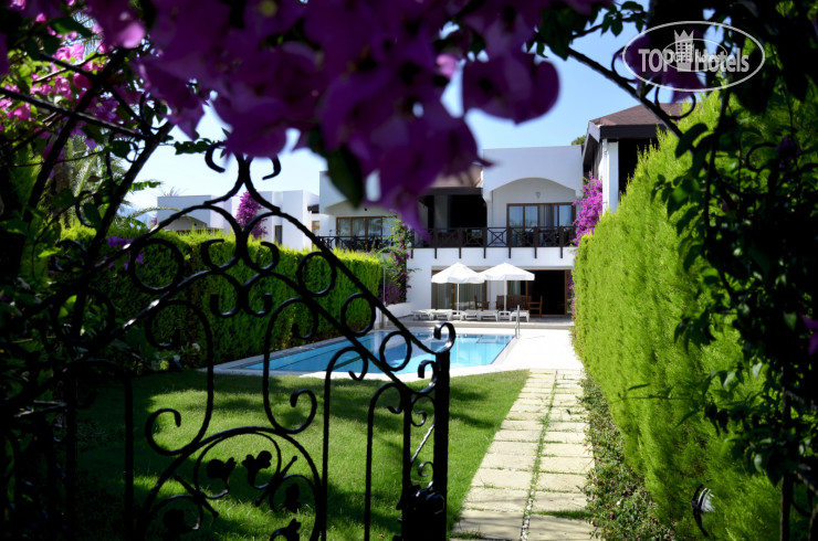 New photos from tourists Emelda Sun Club HV-1