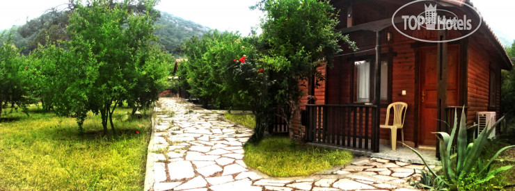Hotel photo Koala Bungalows 