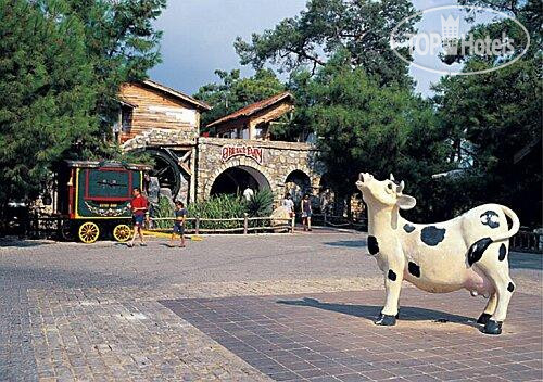 New photos from tourists Holiday Area Eco Dream Club Farm Resort