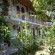 Фото Olympos Yavuz Hotel