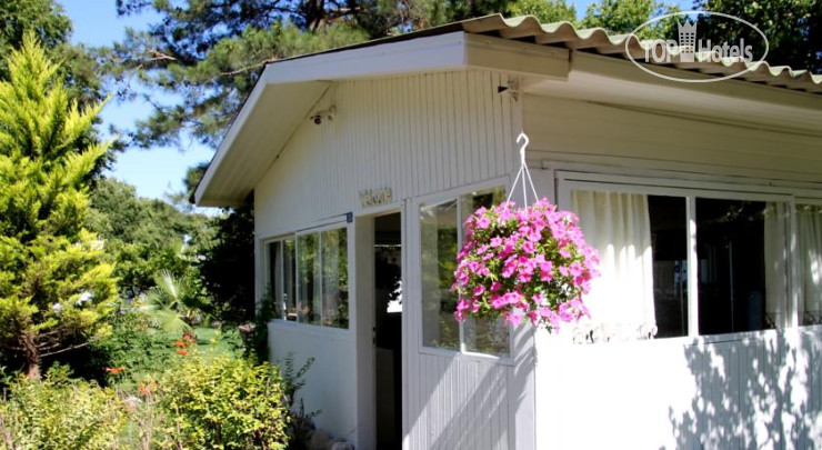 Фото Defne Pension