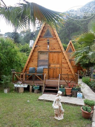 Фото Oran Pansiyon Agac Evler