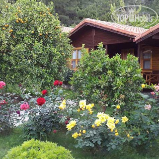 Фото Cirali Hotel