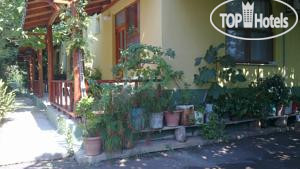 Фото Selin Pension