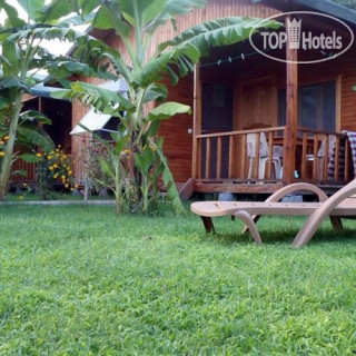 Фото Estelar Hotel