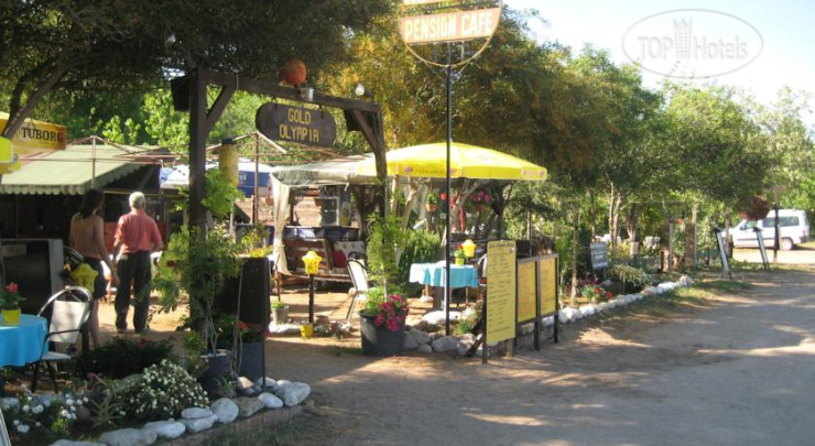 Фото Gold Olympia