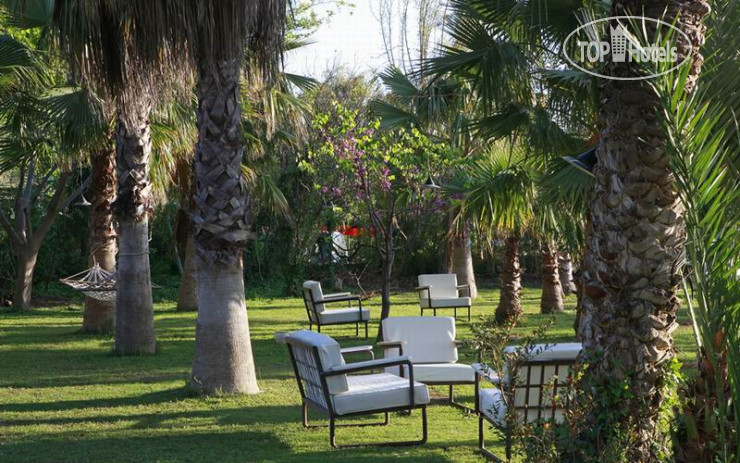 Фото Olympos Lodge