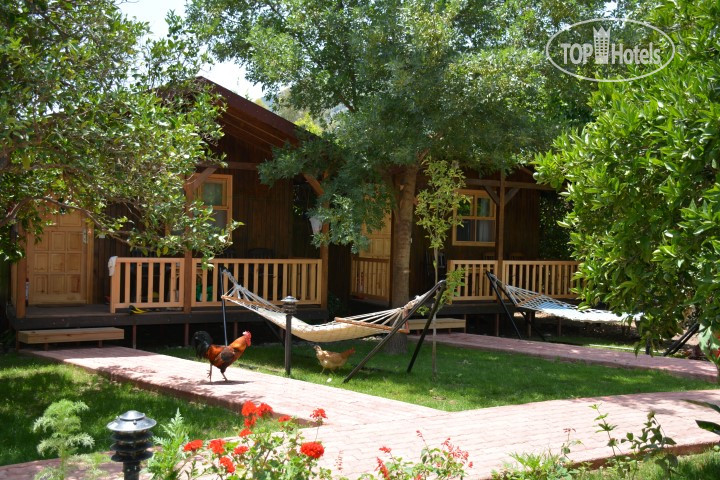 Фото Caretta Caretta Pansiyon