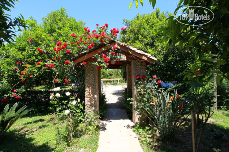 Фото Gunes Pansiyon