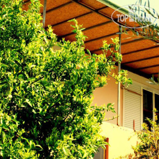 Фото Sera Pansiyon