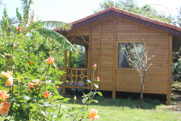 Фото Melisa Hotel