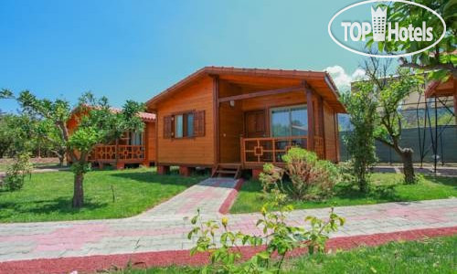 Фото Baris Pansiyon & Bungalows