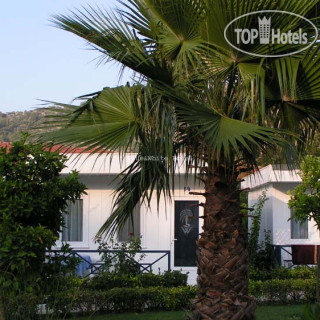 Фото Blue & White Hotel