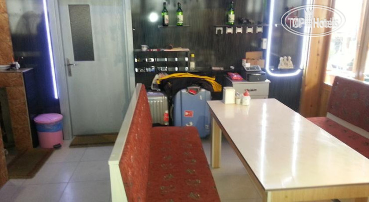 New photos from tourists Mustafa Hotel