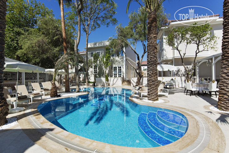 Hotelier's photos Elegance East Hotel 3*