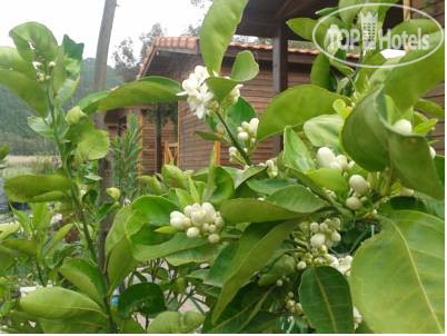 New photos from tourists Adrasya Bungalows