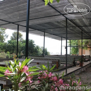 New photos from tourists Duran Pension