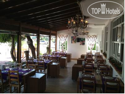 New photos from tourists Adresim Hotel