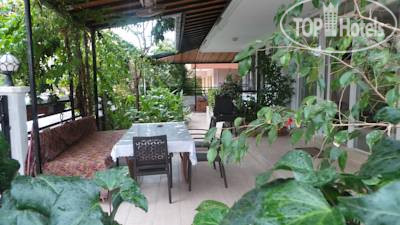 New photos from tourists Altun Apartment