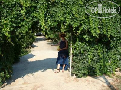 Hotel photo Antalya Farm House 