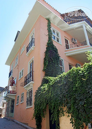 Hotel photo Tulipan Villa 