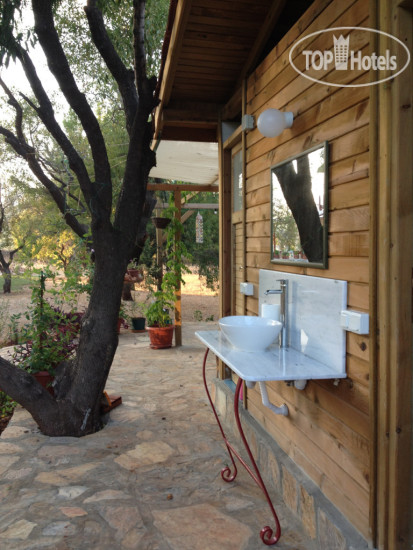 New photos from tourists Narnia Hotel