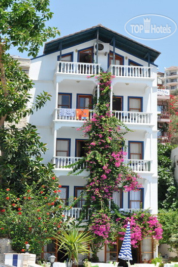 Hotelier's photos Koza Hotel
