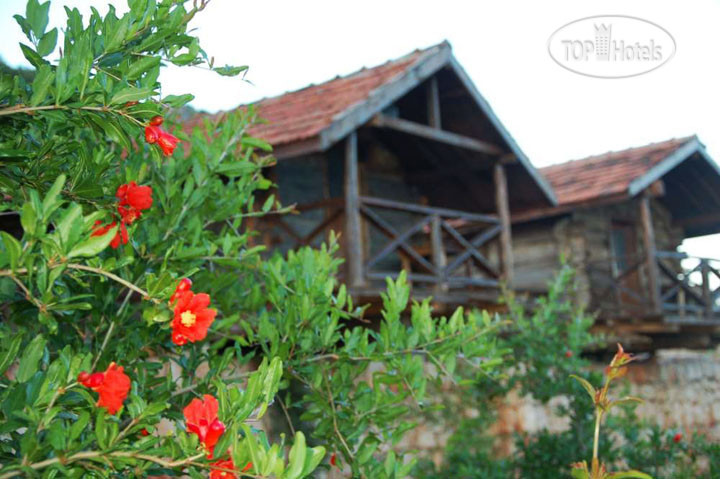 New photos from tourists Kas Doga Park Hotel