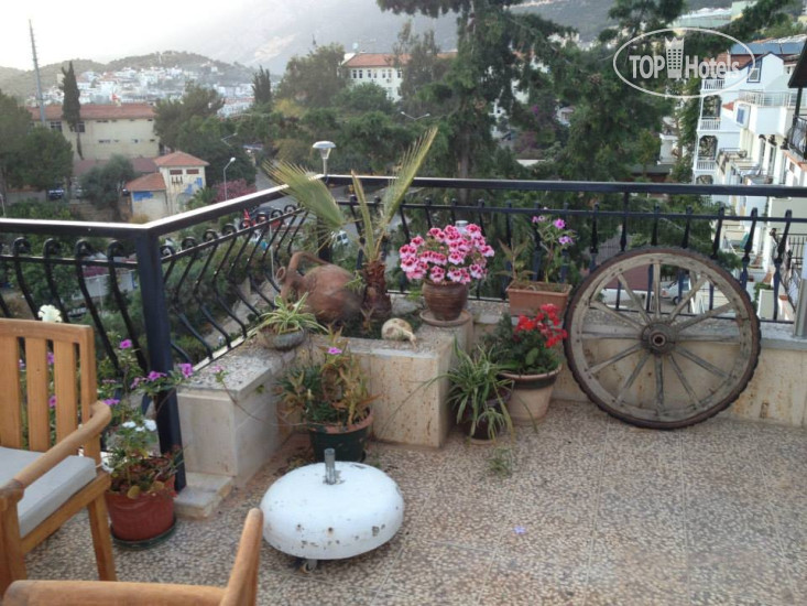 New photos from tourists Likya Hotel
