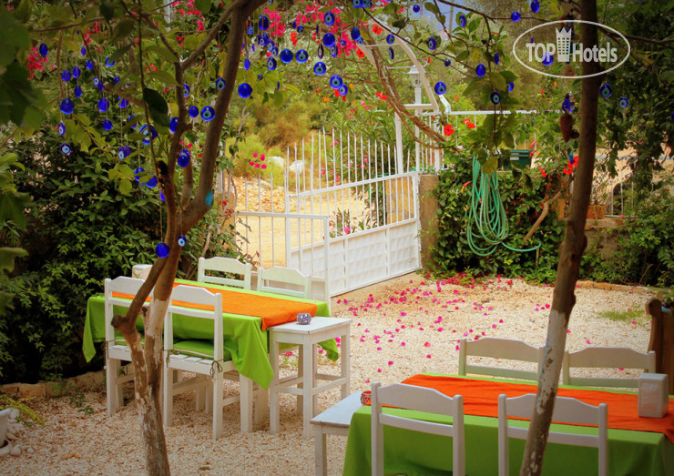New photos from tourists Yesil Vadi Doga Hotel