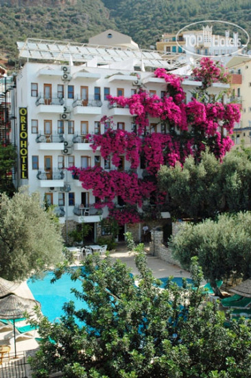 Hotelier's photos Oreo Hotel