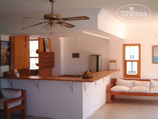 New photos from tourists Oreo Hotel