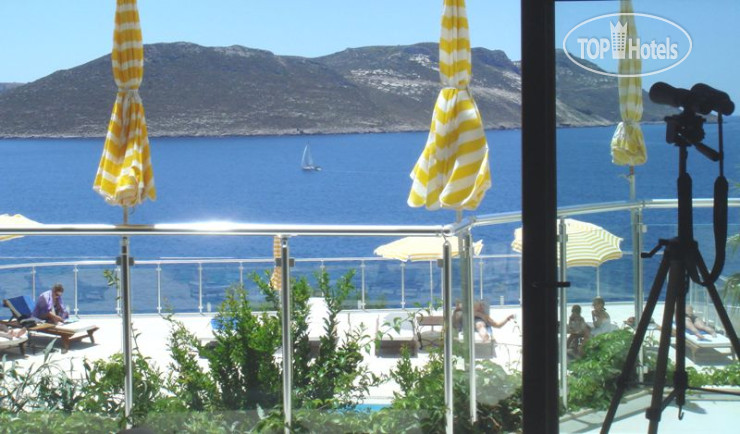 New photos from tourists Cachet Hotel