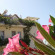 Photos Atherina Hotel