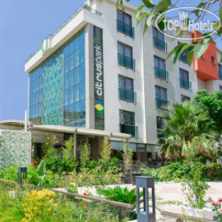 Citrus Park Hotel 4*