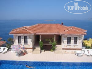 New photos from tourists Tashan 3*
