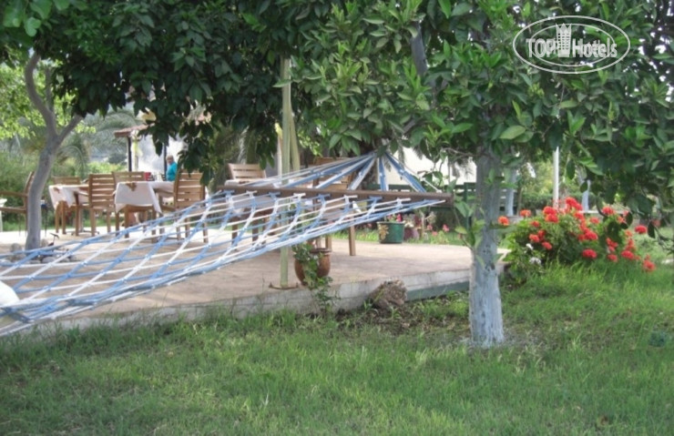 New photos from tourists Narcicegi