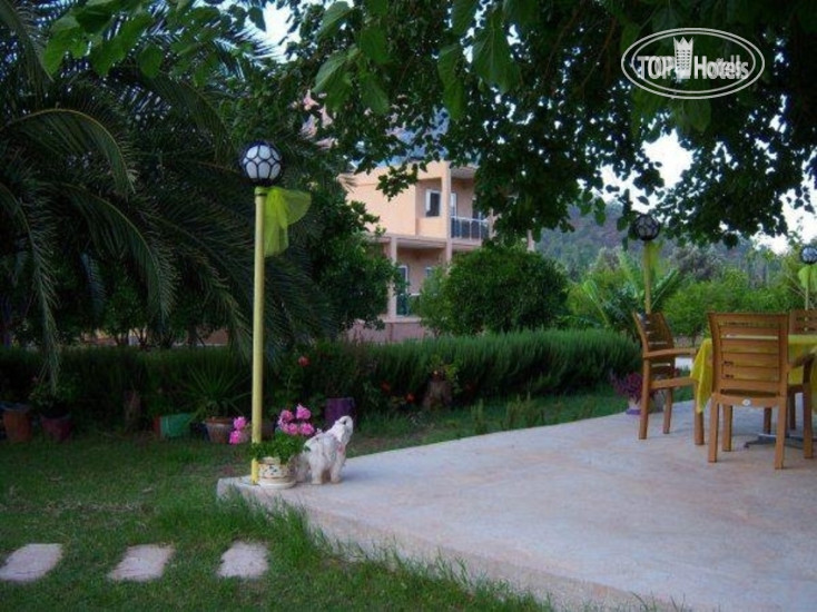 Hotelier's photos Narcicegi