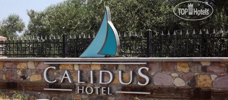 Фото Calidus Hotel